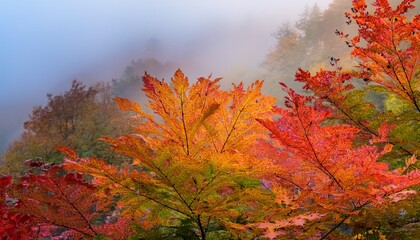 foggy foliage a close up of vibrant multi colored leaves against a backdrop of soft ethereal fog creates a sense of tranquility and natural beauty