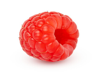 Red berry isolated. Fresh ripe raspberry with clipping path, full depth of field. 
