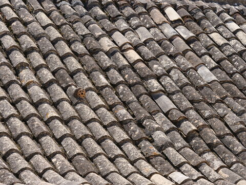 Roof covered with traditional Portuguese roof tiles, also known as &ldquo;telhas de canudo&rdquo; or &ldquo;monk-and-nun tiles.&rdquo;