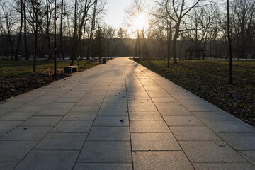 A path in a park with a bench and trees