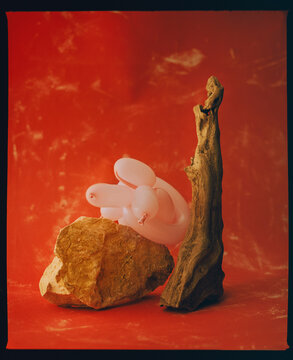 Arty Still Life Arrangement