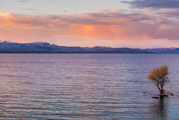 On the shores of Lake Nahuel Huapi, very close to the city of Bariloche, Rio Negro Province,...