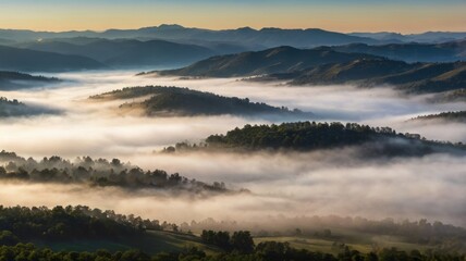 Misty Morning in the Rolling Hills