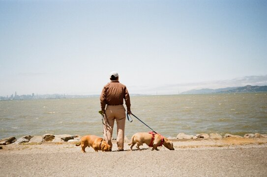 35mm film dogs owner waterfront
