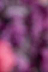 Abstract Pink,  Purple, and White Background 