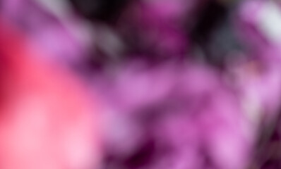 Abstract Pink,  Purple, and White Background 