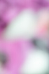 Abstract Pink,  Purple, and White Background 