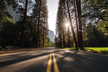 Obraz premium Sunlit Road Through Forest
