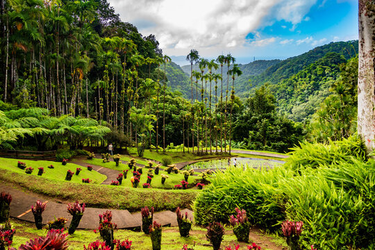 Jardins de la Balata in Fort-De-France, Martinique