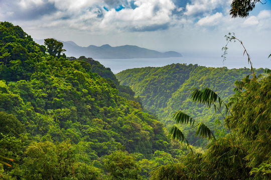 Jardins de la Balata in Fort-De-France, Martinique