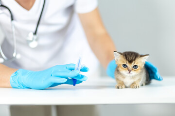 Veterinary tablet dispenser syringe used for administering medication to a kitten during an exam