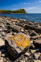 Kimmeridge Bay fossils and shoreline