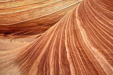 The Wave Sandstone Formation in Vermilion Cliffs, Arizona