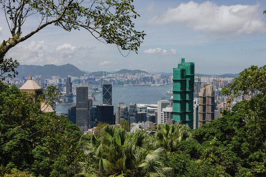 City Skyline and Harbor Viewed from Forested Hill