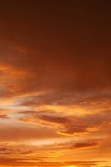 The sky is orange and cloudy. Vertical background, wallpapers.