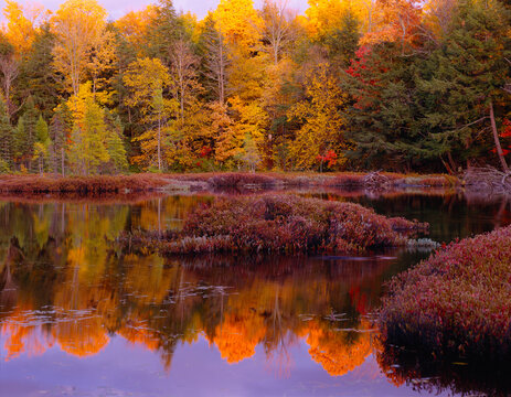 Late afternoon sunset pond beaver lodge Upper Peninsula Michigan film