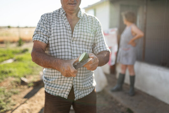 Senior man cutting freshly picked zucchini at a rural farm