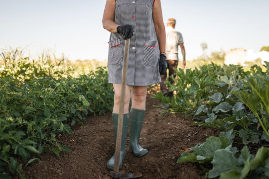 unrecognizable woman tilling the land in her garden