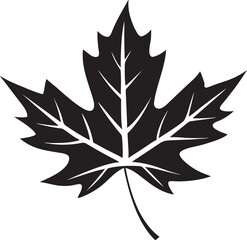 Detailed black maple leaf silhouette vector graphic icon, a classic autumn foliage symbol. Simple flat plant illustration isolated for nature-themed design projects and seasonal decorative elements.