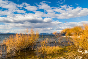 On the shores of Lake Nahuel Huapi, very close to the city of Bariloche, Rio Negro Province,...