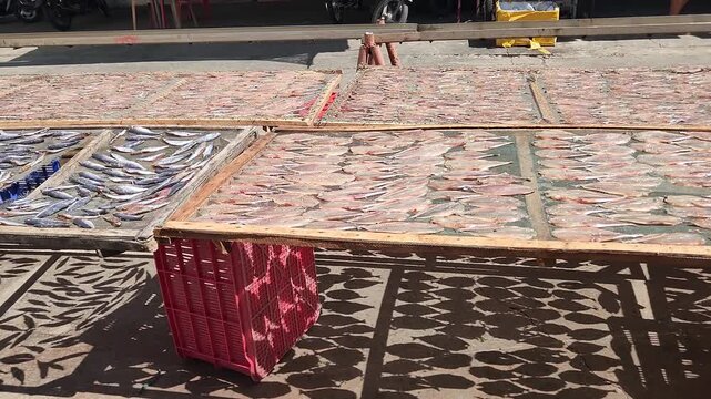 A wide shot of multiple racks of fish sun-drying in Vung Tau, Vietnam. The footage showcases the large scale of the traditional food preservation process, with interesting shadows on the ground.