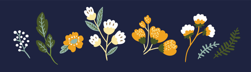 Set of hand drawn floral and botanical elements on a dark background. Vector illustration for design, flat style.