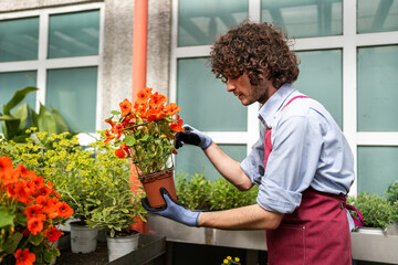 Gardener holding a nasturtium at the garden center