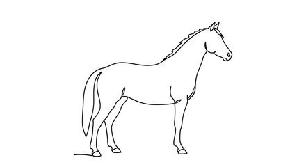 Elegant line drawing of a horse, standing profile, equine art, simple sketch.
