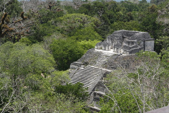 Tikal Guatemala" Images – Browse 72 Stock Photos, Vectors, and Video | Adobe Stock