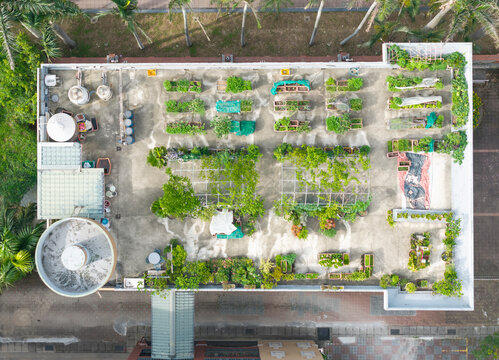Urban Rooftop Garden and Vegetable Farm Aerial View