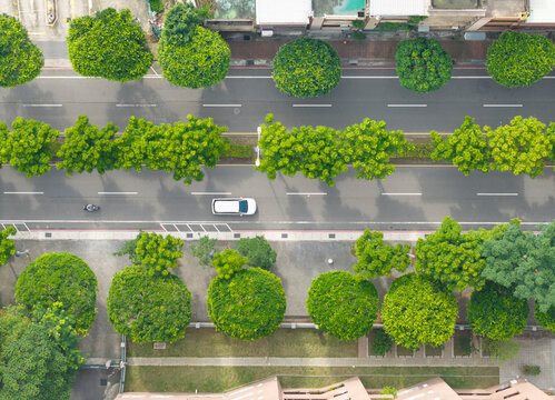 Tree Lined Urban Road With Vehicles From Above View