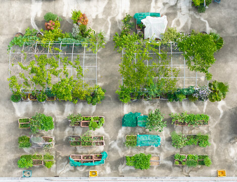 Urban Rooftop Garden and Vegetable Farm Aerial View