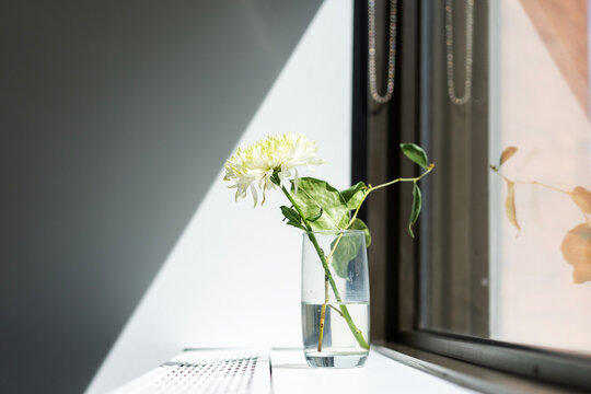 A flower sits on a ledge.