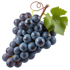 Fototapeta premium Vibrant cluster of ripe, juicy dark grapes with a fresh green leaf and vine