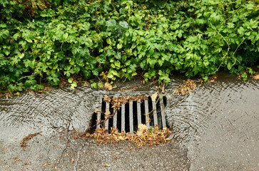 Drain is clogged with leaves and debris
