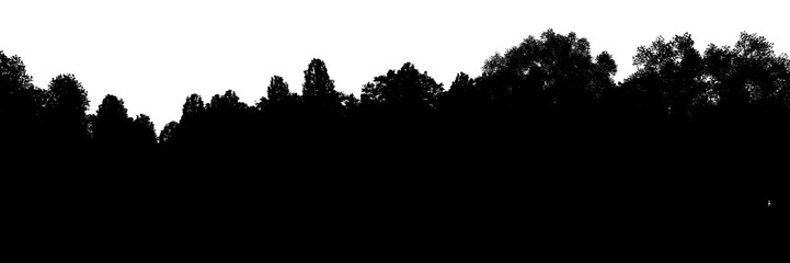 Tree line silhouette panorama on transparent background, 3d rendering cutout illustration