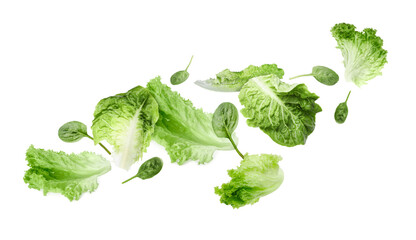 Fresh lettuce and spinach leaves flying against white background