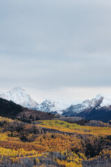 Snow-capped mountains with golden aspen forest in autumn