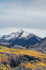 Snow-capped mountains with golden aspen forest in autumn
