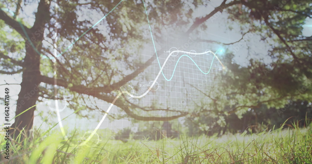 Poster overlaying data visualization in sunlit meadow beneath tree, showing glowing lines and markers