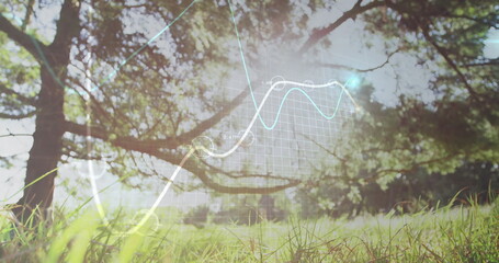 Overlaying data visualization in sunlit meadow beneath tree, showing glowing lines and markers