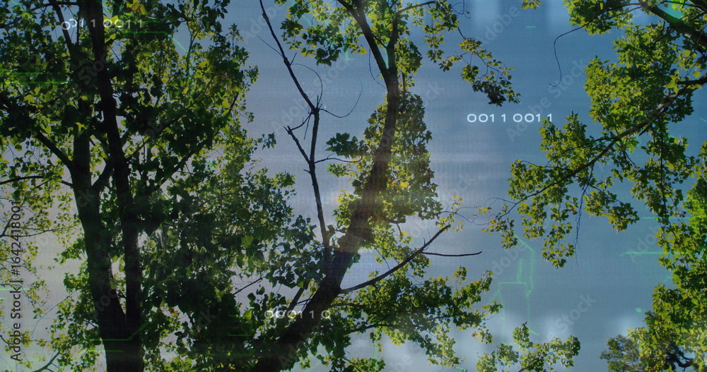 Poster Showing central tree trunk supporting green leaves in woodland, with binary code and grid overlays