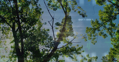 Fototapeta premium Showing central tree trunk supporting green leaves in woodland, with binary code and grid overlays