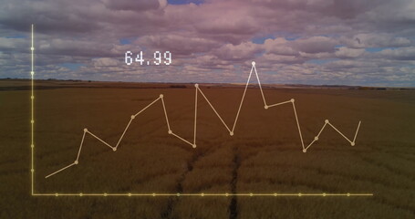 Translucent yellow line graph overlay covering wheat field, with data nodes, axes and label 64