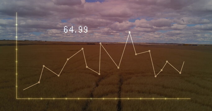 Fototapeta Translucent yellow line graph overlay covering wheat field, with data nodes, axes and label 64