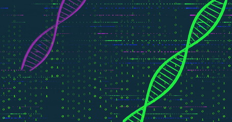 Displaying green DNA helix rotating in virtual space, with purple helix and binary code, copy space