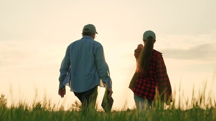 professional farmer green wheat field sunset, cooperation corporate successful man, farm owner...
