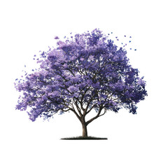 Doodle-style roadside jacaranda tree with soft purple blossoms transparent background