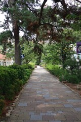 August 8, 2025, Takarazuka City, Hyogo Prefecture, Japan. Scenery around the Takarazuka Revue.