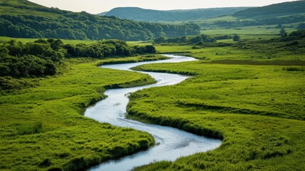 Winding river flowing through lush green meadows.